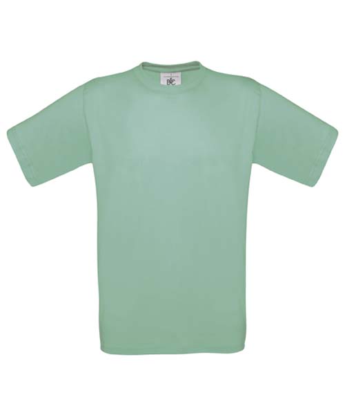 B&C Exact 150 Used Wasabi