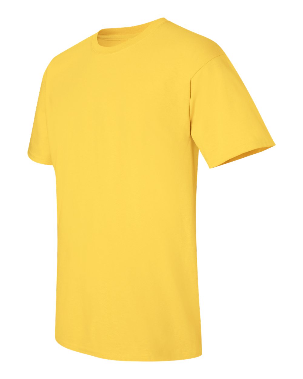 GI6400 Daisy