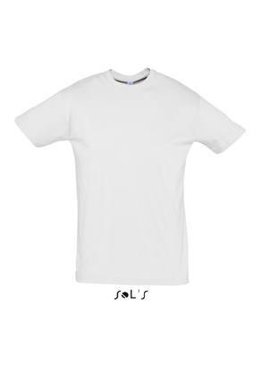 Sols Regent Ash